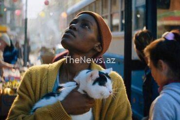 ready-furr-their-close-up:-how-cats-became-hollywood’s-hottest-stars