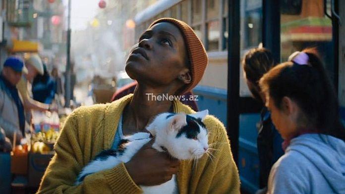 ready-furr-their-close-up:-how-cats-became-hollywood’s-hottest-stars