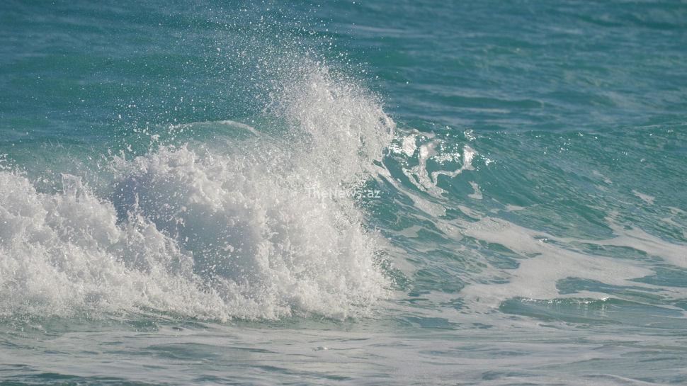 why-we-need-to-increase-ocean-science-data-sharing