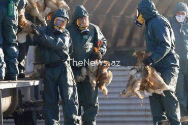eu-agencies-call-for-increased-vigilance-on-bird-flu