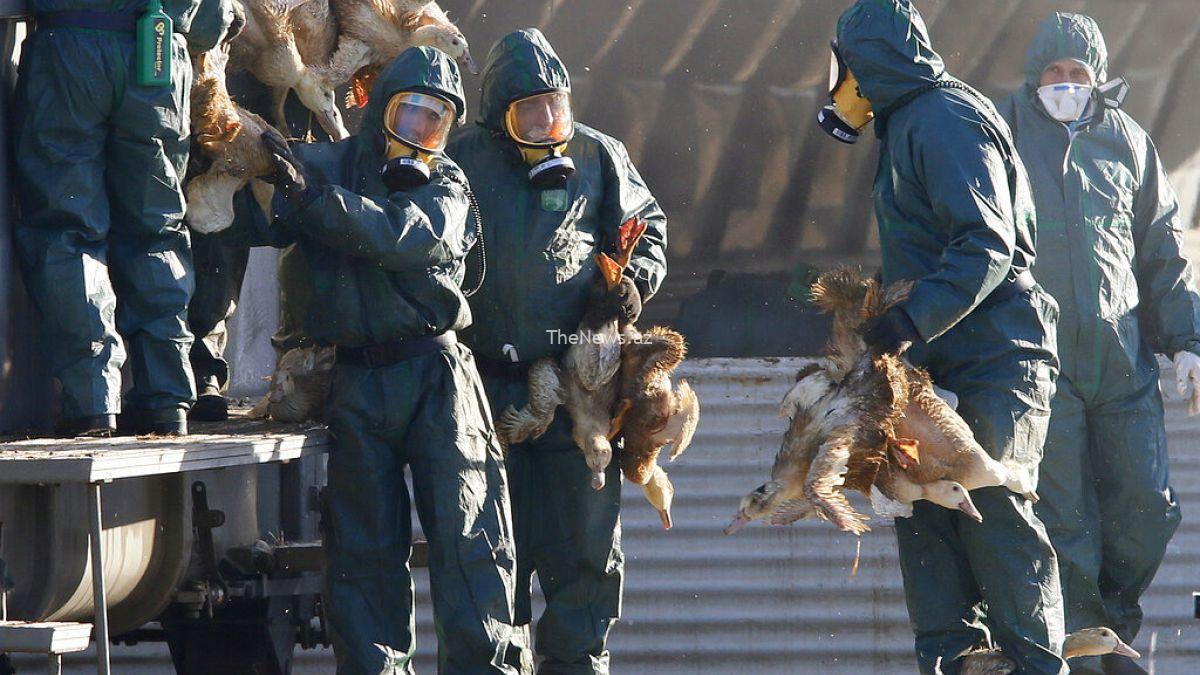 eu-agencies-call-for-increased-vigilance-on-bird-flu