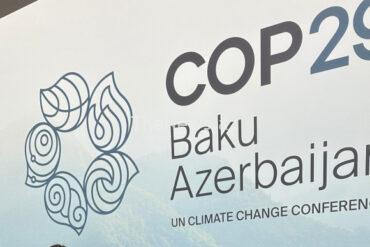 uzbekistan’s-ngos-show-solidarity-with-azerbaijan-over-cop29-–-news.az