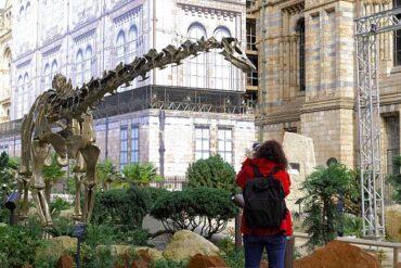 fern-the-dinosaur-takes-centre-stage-at-london-natural-history-museum’s-newly-revamped-gardens