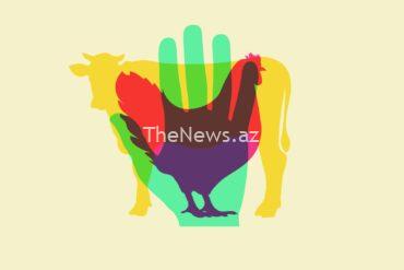 the-last-thing-america-needs-right-now-is-bird-flu