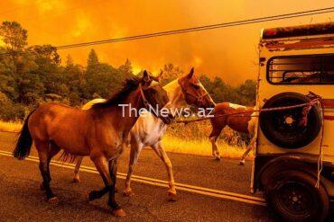 california-wildfire-tripled-in-size-was-‘sparked-by-man-with-burning-car’