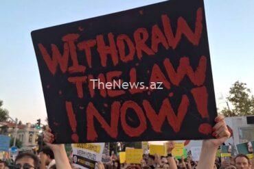 thousands-protest-in-istanbul-against-bill-they-fear-will-lead-to-mass-cull-of-stray-dogs