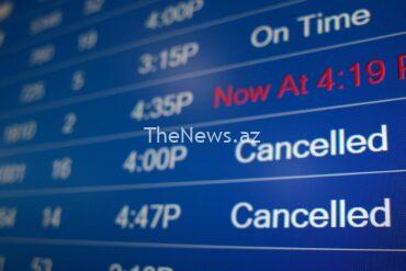 what-to-do-if-your-flight-is-canceled-or-delayed