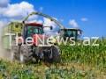 mexico-ready-to-retaliate-by-hurting-us-farmers