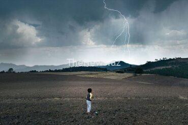 euronews-culture’s-film-of-the-week:-el-eco-(the-echo)-–-tatiana-huezo’s-beautiful-achievement