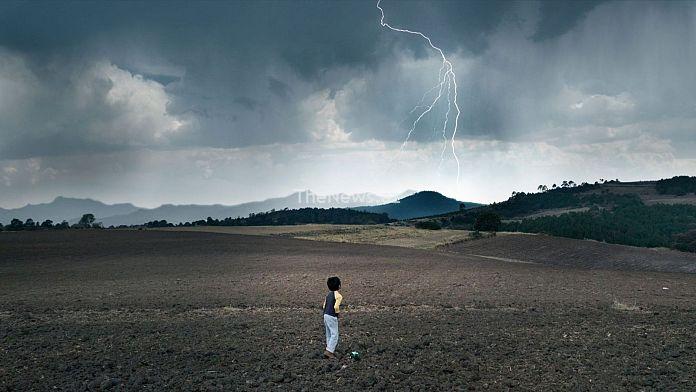 euronews-culture’s-film-of-the-week:-el-eco-(the-echo)-–-tatiana-huezo’s-beautiful-achievement