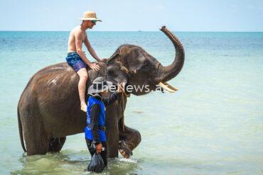 the-global-tourism-boom-is-shifting-to-asia