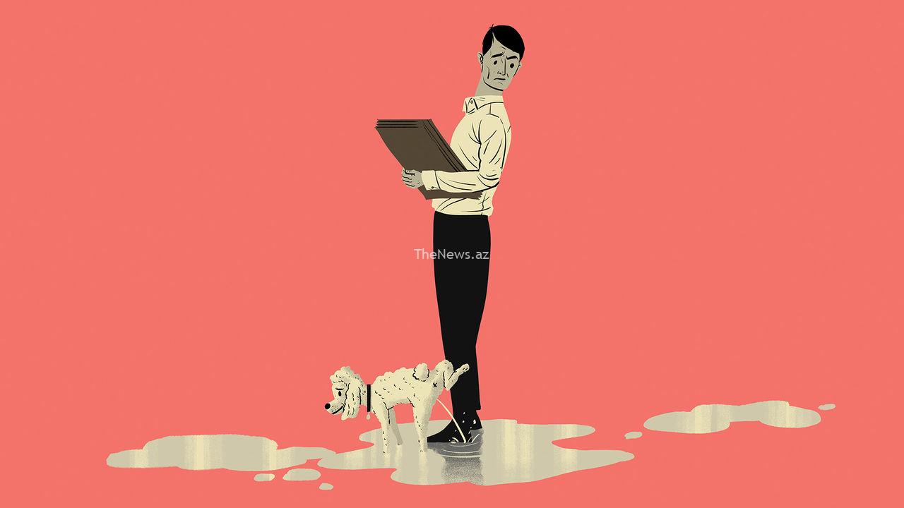 what-to-do-about-pets-in-the-office