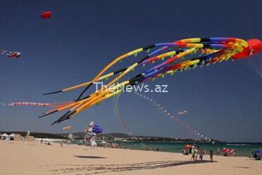 kite-festival-raises-awareness-for-endangered-species