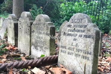what-pet-cemeteries-reveal-about-being-human