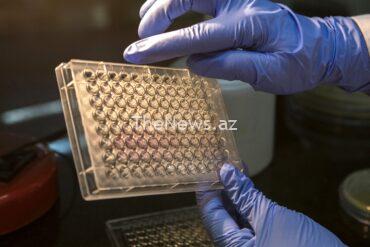 a-fix-for-antibiotic-resistance-could-be-hiding-in-the-past