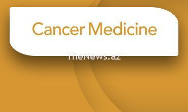 iarc-at-the-high-level-conference-“fighting-cancer-around-the-world:-a-framework-for-action”