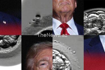 an-unexpected-window-into-the-trump-campaign